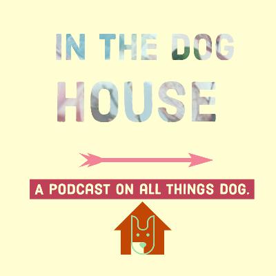 In the dog house (episode 2) - dog poo! In the dog house (episode 2) - dog poo!