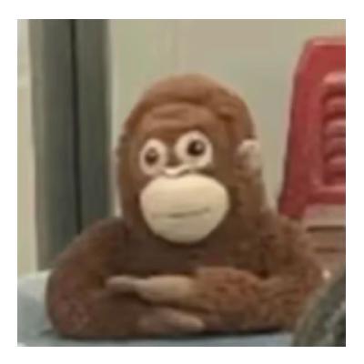 甲状腺全切之后我在健康群里踩大坑|当代青年养生图鉴|02集