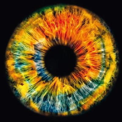 Compás 09: La Bellezza de Lina Tur