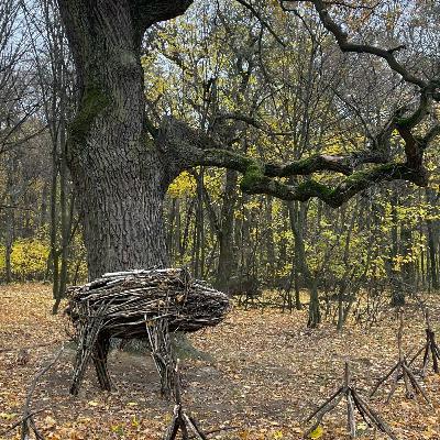 Голосіївський ліc: Початок