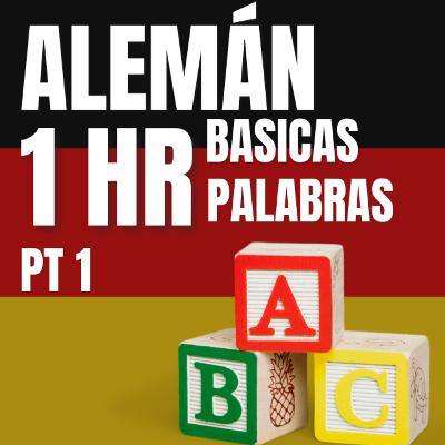 1 HORA de PALABRAS basicas Pt 1 VOCABULARIO ALEMÁN (APRENDER ALEMÁN fácil y rápido)