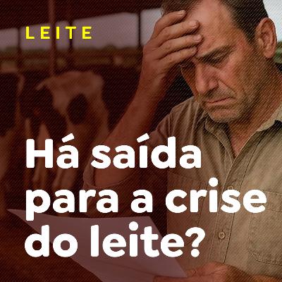 Há saída para a crise do leite?