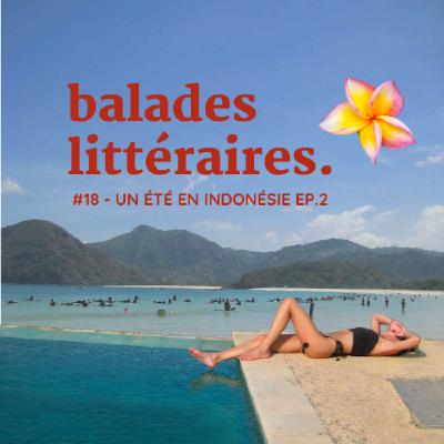 Un été en Indonésie - Ép.2 LOMBOK 🐠 Un été en Indonésie - Ép.2 LOMBOK 🐠