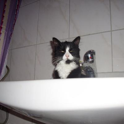 Snoozie (Original Mix)