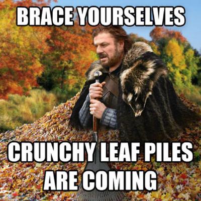 Fall, from grace, in New England Fall, from grace, in New England