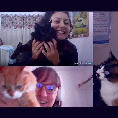 Berrocast | 06 - Viajando com gatos