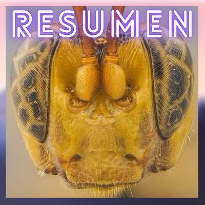 Avispa Alien | Últimas Noticias Científicas con Patricia Senent