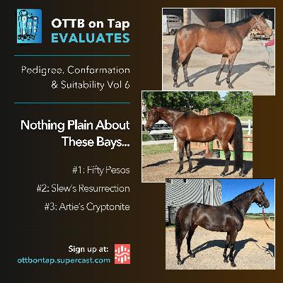 Preview: OTTB on Tap Evaluates Vol 6: Nothing Plain About These Bays!