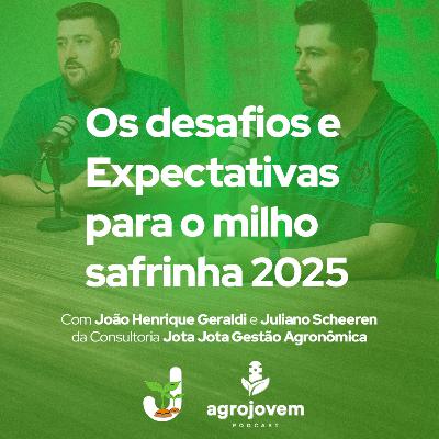 Safra de Soja 2025: Desafios, Rentabilidade e o Futuro do Milho Safrinha! 🌱🚜
