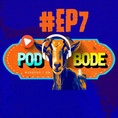 ESPECIAL POD BODE 7 - Financiamento de Crédito ao Produtor