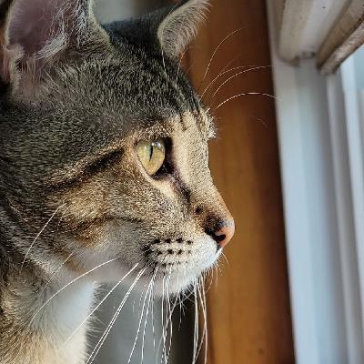 This podcast is dedicated to Lynne Gore This podcast is dedicated to Lynne Gore