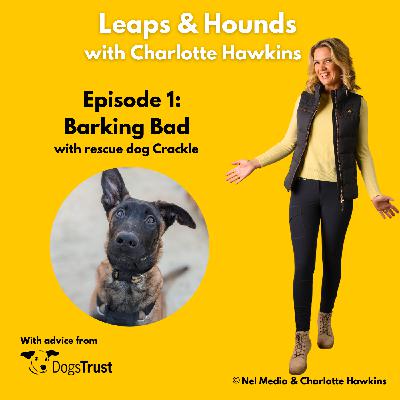 Episode 1: Barking Bad Episode 1: Barking Bad