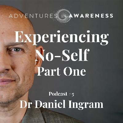 Daniel Ingram - Experiencing No Self: Part 1
