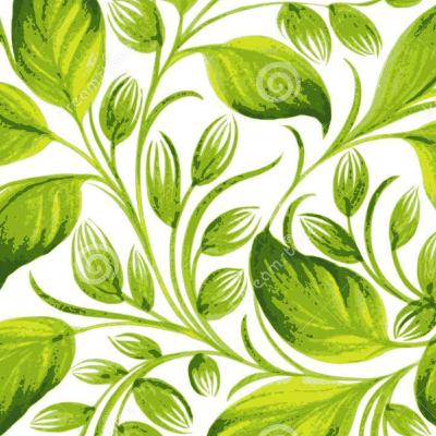 Корень растения.