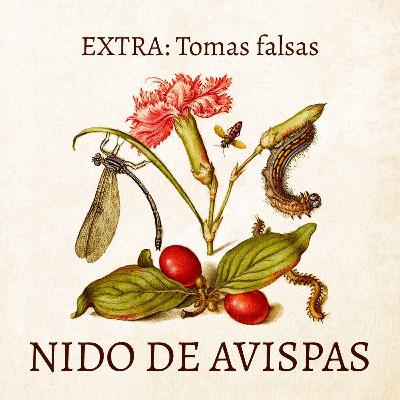 Extra – Tomas falsas