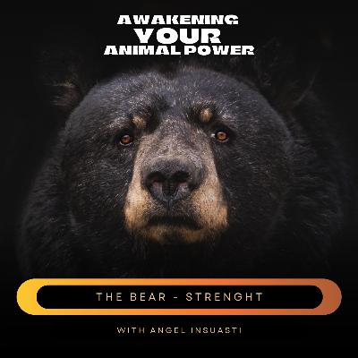 The Bear as your Power Animal