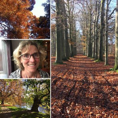 De kaartenmethode van logopediste Frieda Debets De kaartenmethode van logopediste Frieda Debets