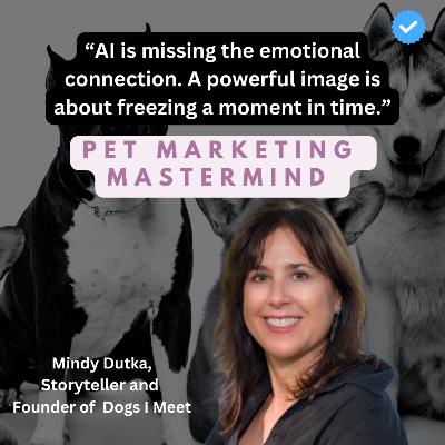 Pet Marketing Mastermind: Mindy Dutka, Storyteller and Founder of Dogs I Meet