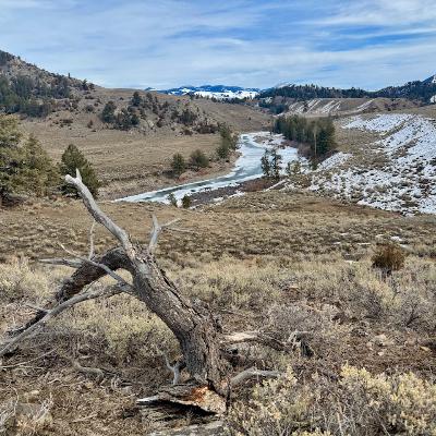This Week In Yellowstone: March 5th to March 11, 2026