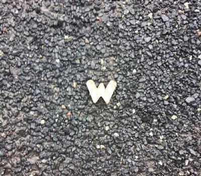 Windings – Hot Press band of the week