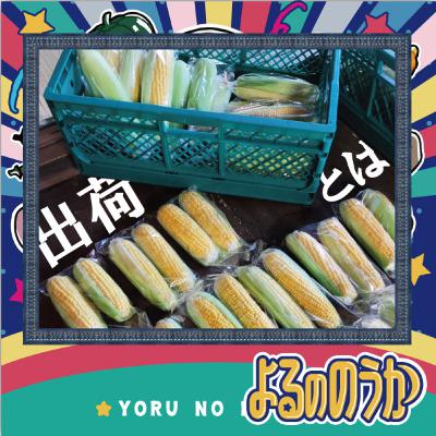 「出荷とは」を問うてみた【前編】