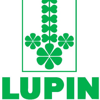 Lupin share price