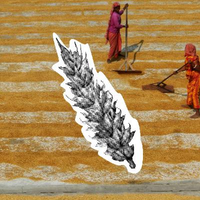 Is the Patriarchy Fueling Climate Change? Is the Patriarchy Fueling Climate Change?