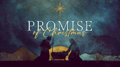 'Promise of Christmas - Week 1' - 12.7.2025 'Promise of Christmas - Week 1' - 12.7.2025