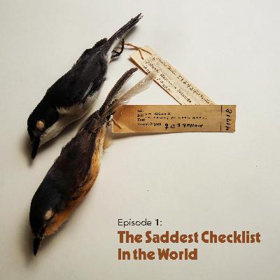 Episode 1: The Saddest Checklist In The World