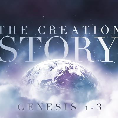 The Creation Story The Creation Story