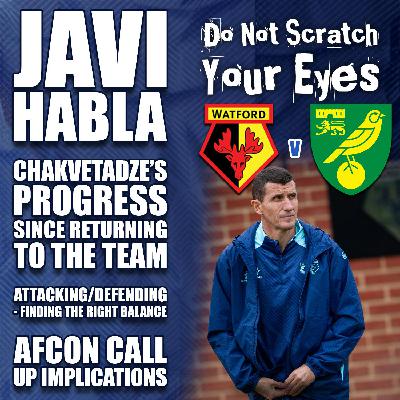 Javi Habla - Norwich City (Home) Javi Habla - Norwich City (Home)