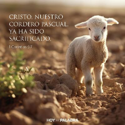 EL CORDERO DE DIOS