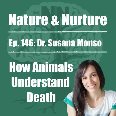 Nature & Nurture #146: Dr. Susana Monsó - How Animals Understand Death