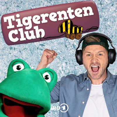 Winterpause – Schneemann oder Schneefrosch? Winterpause – Schneemann oder Schneefrosch?