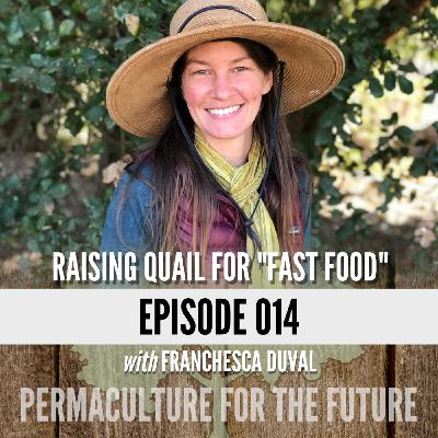Raising Quail for "Fast Food"