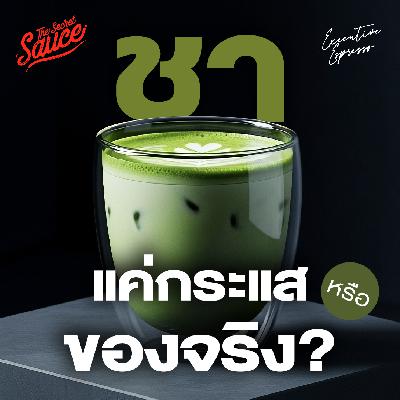 EE562 ชา แค่กระแสหรือมาจริง เปิดอินไซต์ โตสวนกระแส