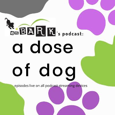 Dose of Dog #115 What to Expect When You Get a Puppy