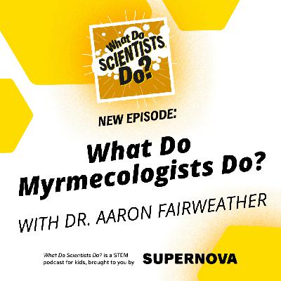 Amazed by ants: Bugging out with Dr. Aaron Fairweather