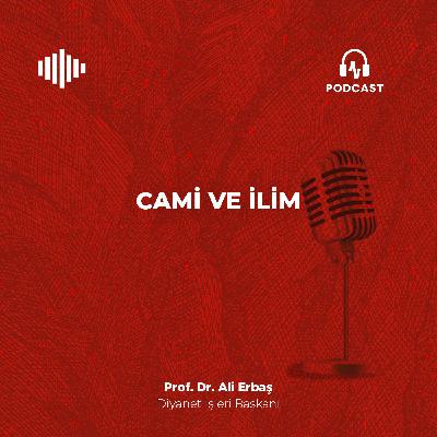 Cami ve İlim