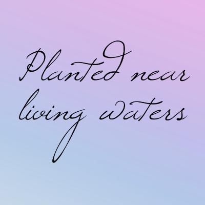 Motivation for Maximum Growth