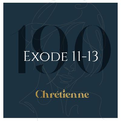 190. Le dernier fléau et la Pâque: du jugement à la liberté (Exode 11-13)