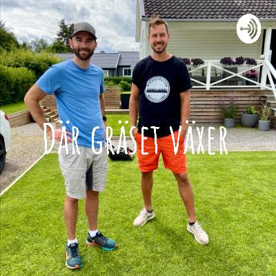 19. Tillbaka efter semestern