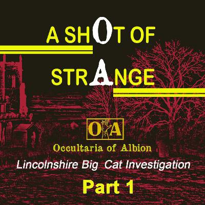 A Shot of Strange: Lincolnshire Big Cat Investigation, Part 1