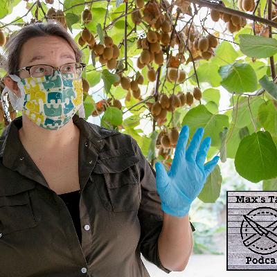 MT S2E2: Starting a home vegetable garden MT S2E2: Starting a home vegetable garden