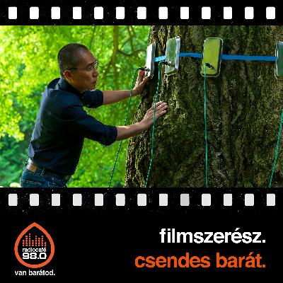 #018 - Búcsú Koltai Jánostól, Csendes barát, Hamnet, Érzelmi érték, Nürnberg (2026-01-22)