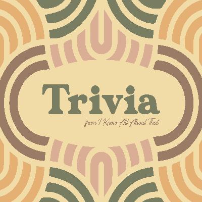 #030 Did Joe finally win? | Trivia