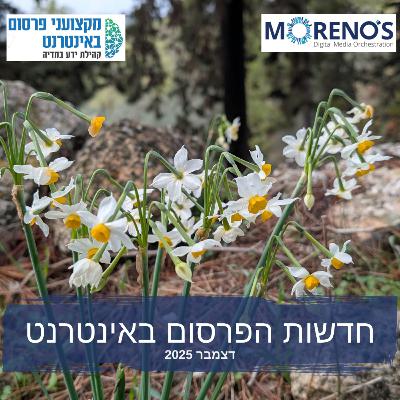 חדשות הפרסום באינטרנט - דצמבר 2025: מחזירים את השליטה למפרסמים