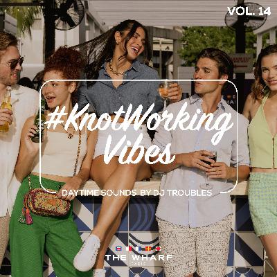 #KnotWorking Vibes, Vol. 14 - Top 40 Mix