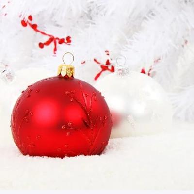 19. Dezember 19. Dezember