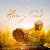 Ladda ner och titta på HD-filmer